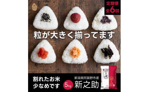 【令和7年産新米】【6か月定期便】 新潟県阿賀野市産 新之助 5kg×6回 計 30kg 米杜氏 壱成 白米 精米 大粒 つや 光沢 弾力 芳醇 1H53097