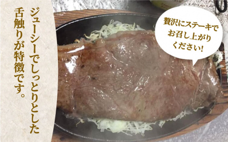 博多和牛 牛肉 A5 A4 サーロイン ステーキ 2枚（計500g）＜有限会社筑前屋＞那珂川市 牛肉 サーロインステーキ サーロイン ステーキ 牛肉 牛肉定期便 和牛定期便 定期便 牛肉 肉 黒毛和牛