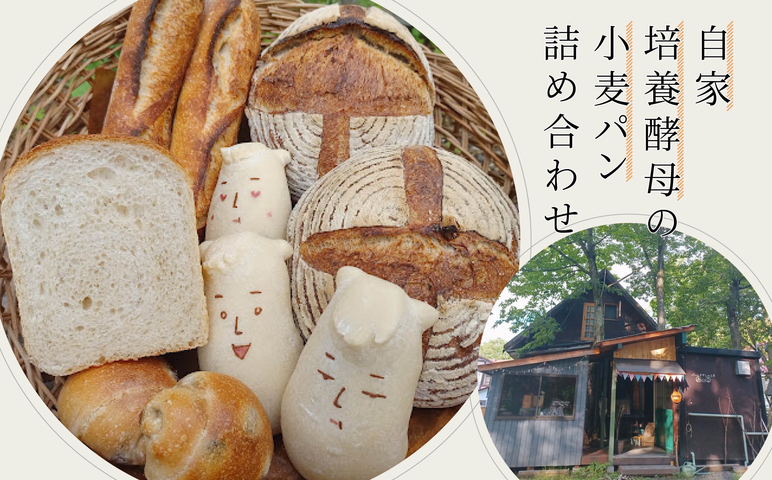 
            白馬村の季節の素材も使った、珍しい自家培養酵母の小麦パン/長野県白馬村  自家製酵母パン 季節の素材 食事パンセット 村男 サステナブル オーガニックパン 自然発酵 信州パン 地産地消 こだわり素材 パン工房 朝食【B0820640-B】
          