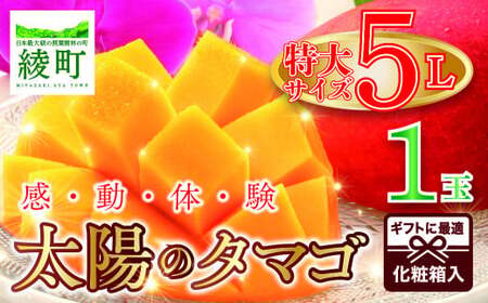 完熟マンゴー「太陽のタマゴ」５L×１玉【規格 基準 最大 濃厚 宮崎 高級 果物 フルーツ 贈答 ギフト 先行受付 送料無料】