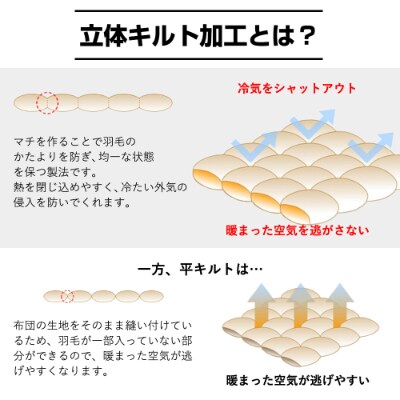 【春夏用】洗える羽毛肌掛け布団シングルサイズダウン90%0.3kg洗濯可能クリーム2枚セット
