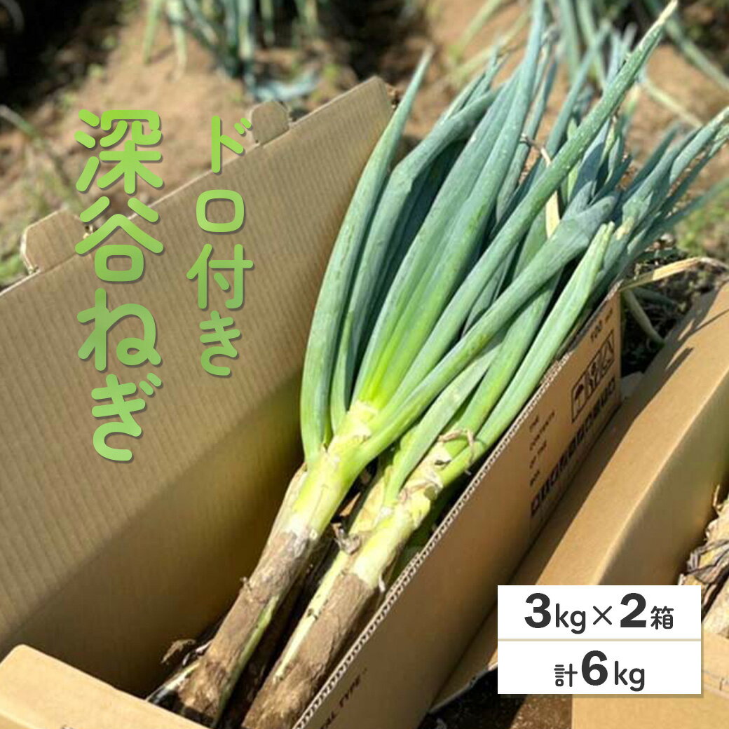 【ふるさと納税】深谷ねぎ（ドロ付き）3kg×2箱／計6kg　【11218-0210】　# 深谷ねぎ ねぎ 深谷 深谷市 土付き ドロ