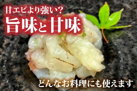 【福井名物】ガサエビ（ガスエビ）刺身用 とやまに特製しょうゆセット [A-4374]