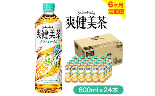 
★ 6ヶ月 定期便 ★ 爽健美茶 600ml×24本 コカ・コーラボトラーズジャパン 《お申込み月翌月から出荷開始》 和歌山県 紀の川市 お茶 茶 ハトムギ 玄米 月見草
