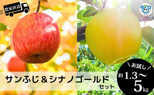 
            【信州松川町産】サンふじ＆シナノゴールド2種セット 約1.3kg～5kg／12月上旬頃 発送予定 // 長野県 南信州 オリジナル品種 減農薬栽培 エコファーマー認証農家 りんご 詰合せ 食べ比べ HF51 HF13 HF52
          