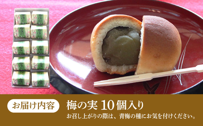 【老舗の菓子屋】築上銘菓「 梅の実 」10 個《築上町》【有限会社 御菓子司 鹿の子】 [ABAC018]