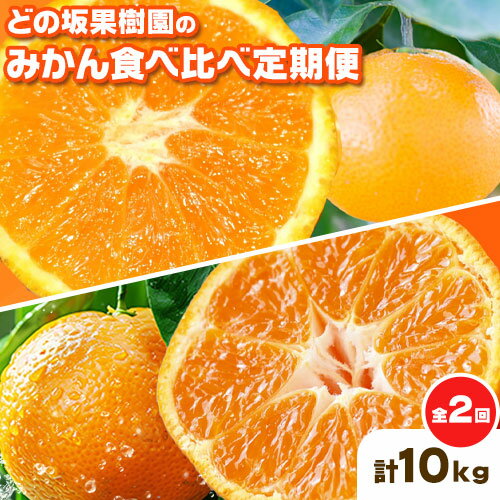 【ふるさと納税】どの坂果樹園の みかん 食べ比べ定期便 全2回 合計10kg ゆら早生 早生みかん《10月中旬-1月末頃出荷》和歌山県 日高川町 みかん 定期便 早生 柑橘 フルーツ 果物 ミカン 柑 産地直送 送料無料