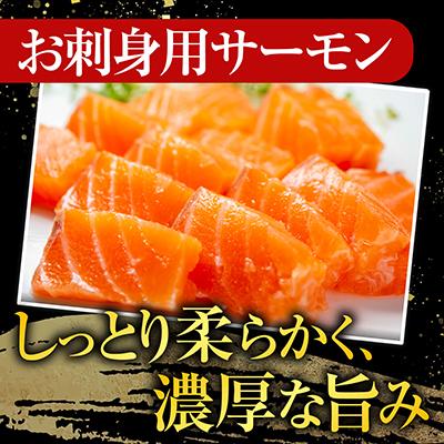 ふるさと納税 根室市 トラウトサーモン2〜3本&鮭とば100g A-09123 |  | 01