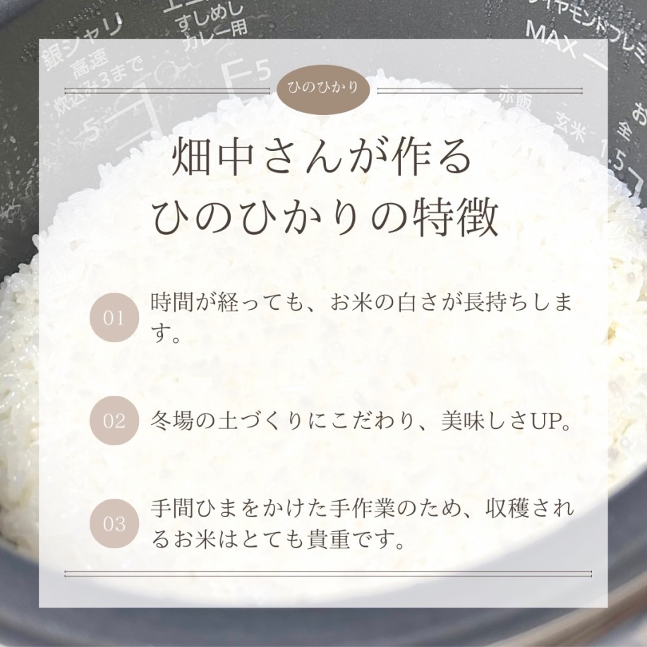 【3回定期便】減農薬 特別栽培米 畑中さん ひのひかり 玄米 5kg ヒノヒカリ 奈良県