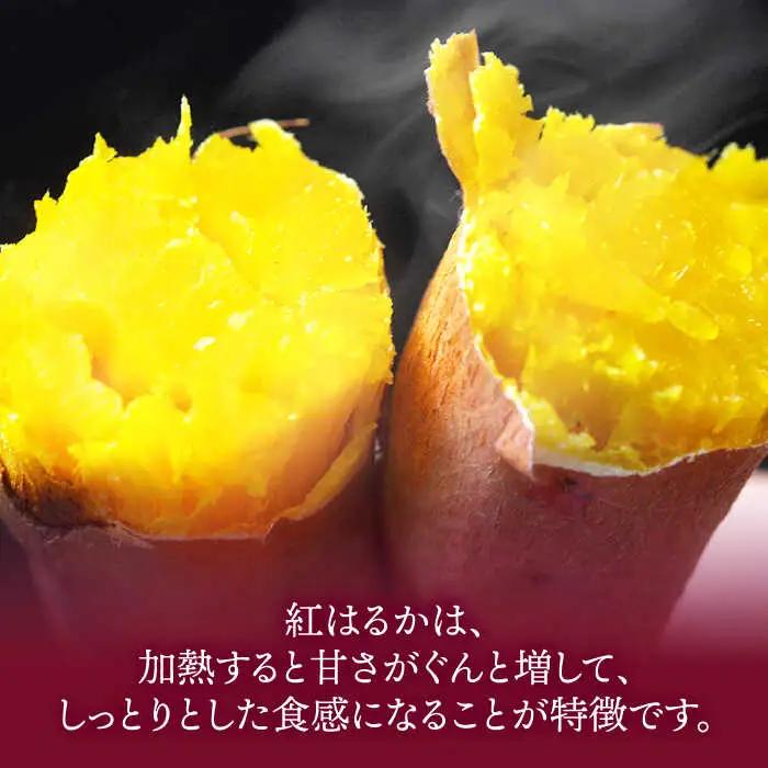 紅はるか 5kg 紅はるか[AGAP020]