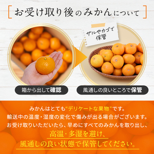 訳あり 熊本県産 温州みかん 約 5kg 