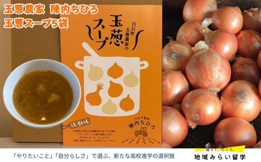 
            【玉葱農家陣内ちひろ】玉葱スープ5袋
          