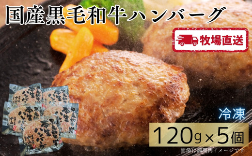 国産黒毛和牛ハンバーグ5個［A0102-0001］