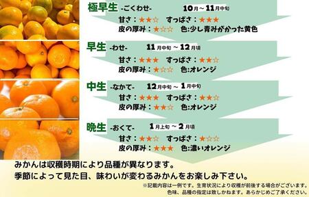 訳あり ゆら早生 みかん 箱込5kg(内容量 4.4kg)サイズミックス  有田みかん 和歌山県産 【みかんの会】
