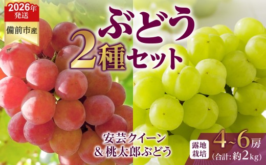 【2026年発送分　先行受付開始！】びぜん葡萄「安芸クイーン」「桃太郎ぶどう」（露地栽培）約2㎏入（令和8年9月上旬～9月下旬頃発送）【 岡山県備前市産 安芸クイーン 桃太郎ぶどう 露地栽培 約2kg 4房～6房 詰合せセット 】
