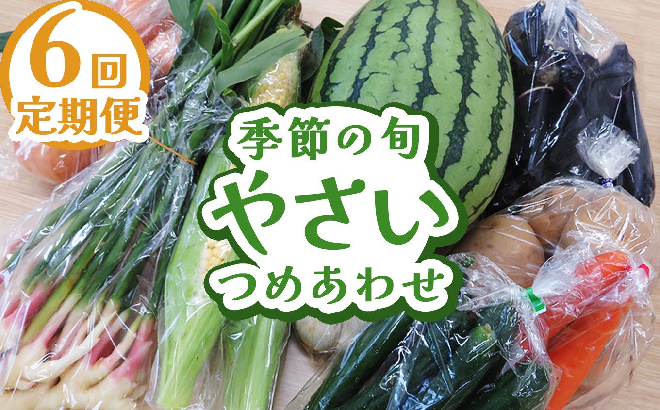 
            【定期便6回】下野市産 季節の旬野菜詰め合わせ | 定期便 旬野菜 詰め合わせ 野菜セット 地元野菜 栃木県産 新鮮野菜 産地直送 野菜通販 無農薬野菜 季節野菜 朝採れ野菜 地場野菜 お取り寄せ 下野市野菜 野菜詰合せ 有機野菜 地元農家 栃木野菜 栃木県 下野市
          
