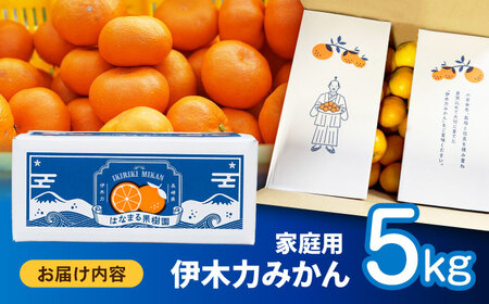 伊木力みかん 5kg AHCF002 みかん
