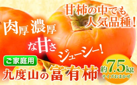 【先行予約】〈ご家庭用〉柿の名産地 九度山の 富有柿 約 7.5kg 厳選館 《2025年11月上旬-12月下旬頃出荷》 和歌山県 日高川町 柿 カキ かき ジューシー フルーツ