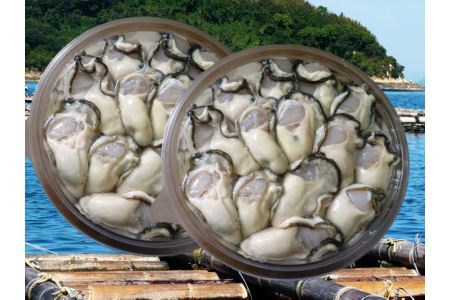 多度津白方牡蠣パック（加熱用）（予約受付中：旬にお届け！2024年1月頃から期間限定出荷！）【C-6】