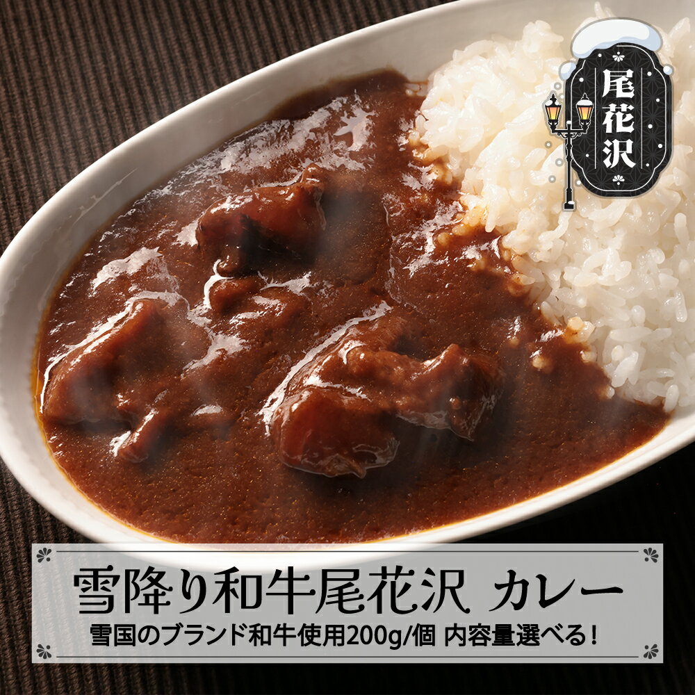 【ふるさと納税】雪降り和牛尾花沢 カレー 4個 6個 個数選べる ss-rtyokx