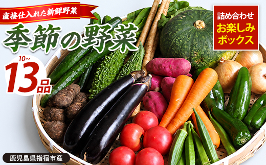 指宿産季節野菜の詰め合わせ10～13品目(岡村商店/IB024-010)