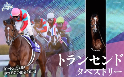 【トランセンド】タペストリー BRTV154 【ふるさと納税 人気 おすすめ ランキング 馬 競馬 競走馬 引退馬 トランセンド タペストリー 飾り インテリア 生活 日用品 日高 北海道 平取町 びらとり 送料無料】 BRTV154