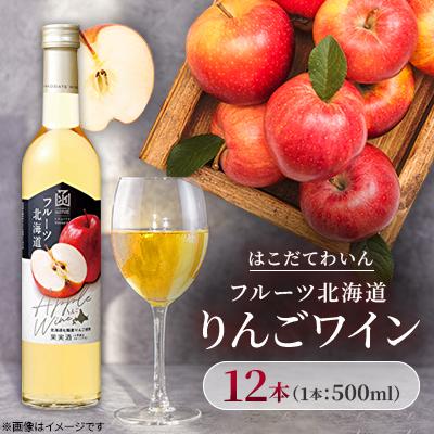 ふるさと納税 七飯町 フルーツ北海道りんごワイン　500ml　12本