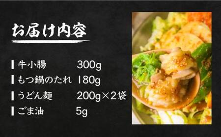 【全国放送されました】元祖味噌もつ鍋 平壌屋おすすめ 2-3人用 セット ( うどん )国産牛 もつ もつ鍋 ホルモン [VAH045]