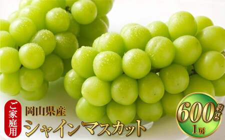 ご家庭用 岡山県産 シャインマスカット 晴王 約600g（600g×1房） 【2026年8月下旬～11月下旬迄発送予定】 果物 くだもの フルーツ ぶどう ブドウ 葡萄 マスカット