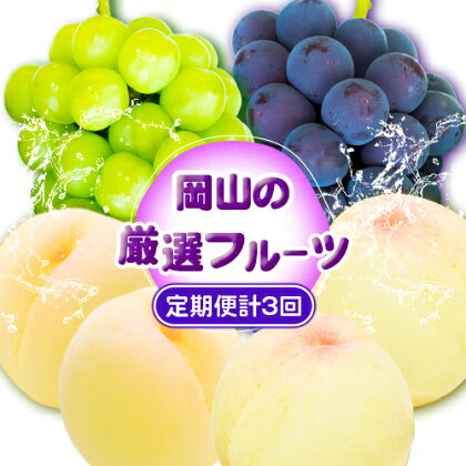 【2026年先行予約】 岡山の厳選フルーツ 定期便3回コース 岡山の白桃 6玉(1.6kg以上) ニューピオーネ 2房(1房600g以上) シャインマスカット 晴王 2房(1房600g以上) 化粧箱入り 株式会社山博(中本青果) 《2026年7月上旬-10月下旬頃出荷》岡山県 浅口市 送料無料【配送不可地域あり】