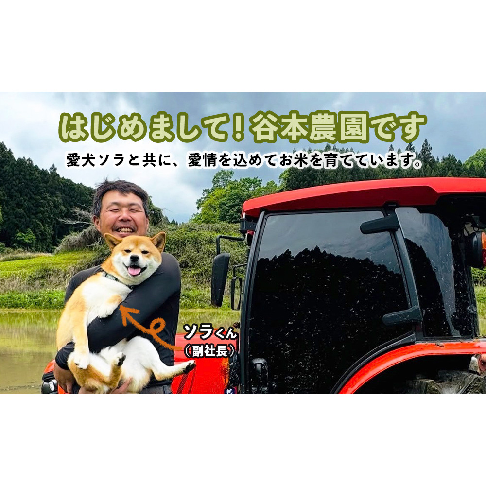 宇陀の自然が育てた 天空【sora】コシヒカリ 定期便 5kg×6回｜奈良県宇陀産 白米_イメージ3