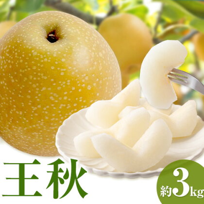 【先行予約】王秋梨 約3kg (4から6玉) 野田農園《2026年10月中旬-12月上旬頃出荷予定》鳥取県 八頭町 梨 なし ナシ 果物 フルーツ  ふるさと納税 送料無料 王秋梨 果実 果汁 常温便