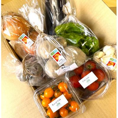 ふるさと納税 あま市 「ノウフク・プロジェクト」野菜詰め合わせ |  | 01
