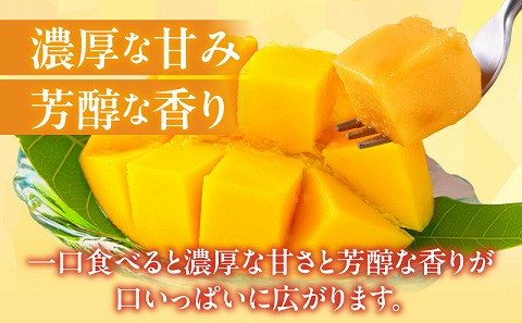 【2025年発送先行予約】《期間・数量限定》完熟！宮崎マンゴー 特秀 大玉3Lサイズ 2玉化粧箱入り