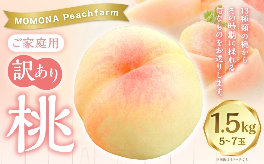 【 訳あり 】 ご家庭用 モモナピーチファームの桃 1.5kg （ 5 ～ 7玉 ） くだもの 果物 フルーツ もも 桃 モモ 果実 果汁 果肉 食感 甘み 国産 岡山県産 白鳳 恋みらい 清水白桃 旬 【 2026年6月上旬～8月下旬迄発送予定 】