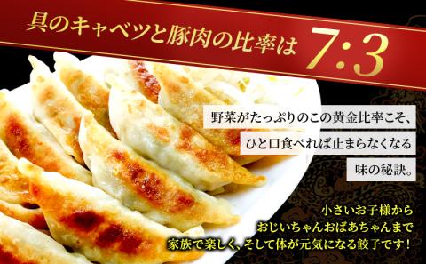 冷凍花餃子110個（22個入×5袋）5か月連続お届け