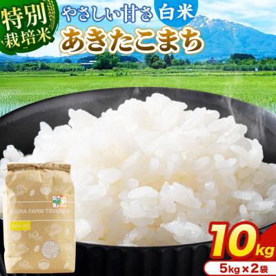 ふるさと納税 弘前市 米【特別栽培米】あきたこまち 白米 10kg(5kg×2袋)令和7年産|24_mft-041001
