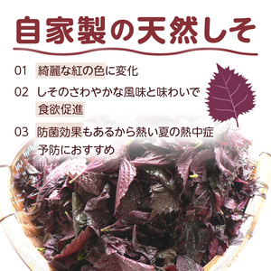 【0399-3】しそ漬け梅干し 1kg 昔ながらのしょっぱい梅干し すっぱい梅干（塩分約17%）和歌山県産