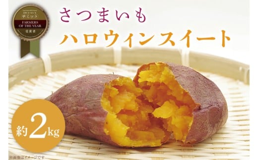 【2025年11月より順次発送】2025年度産 さつまいも ハロウィンスイート 約2kg｜さつまいも 芋 お芋 ハロウィンスイート 渋谷農園 先行予約 茨城県 行方市(BZ-62)