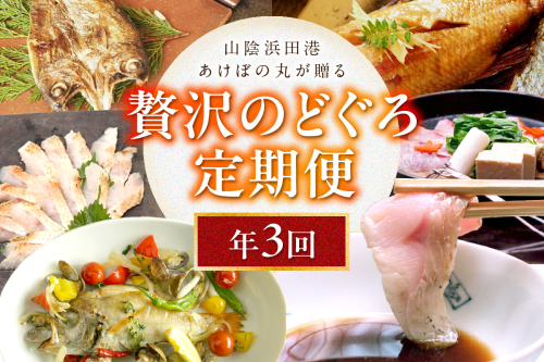 山陰浜田港あけぼの丸が贈る贅沢のどぐろ定期便（3回）魚介 のどぐろ 一夜干し 刺し身 のどぐろしゃぶセット セット しゃぶしゃぶ 定期便 定期 3回 【146_2033】