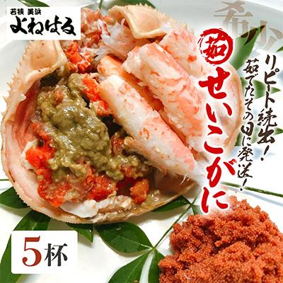 ふるさと納税 美浜町 【2026年11月より順次発送】《おまかせ》茹でセイコガニ　5杯　茹でたてをその日に発送致します