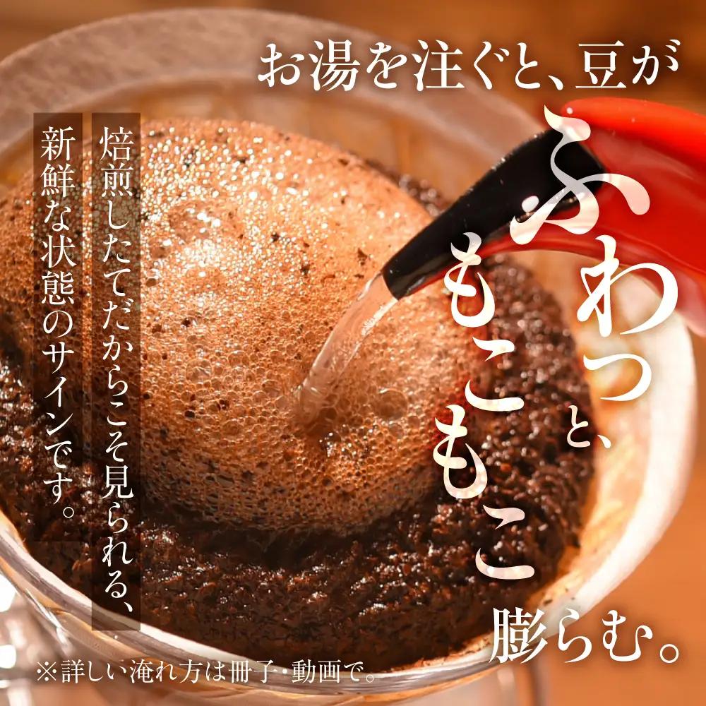 【定期便6か月】超希少種コーヒー 豆『エチオピア ゲイシャ』ゲシャビレッジ農園