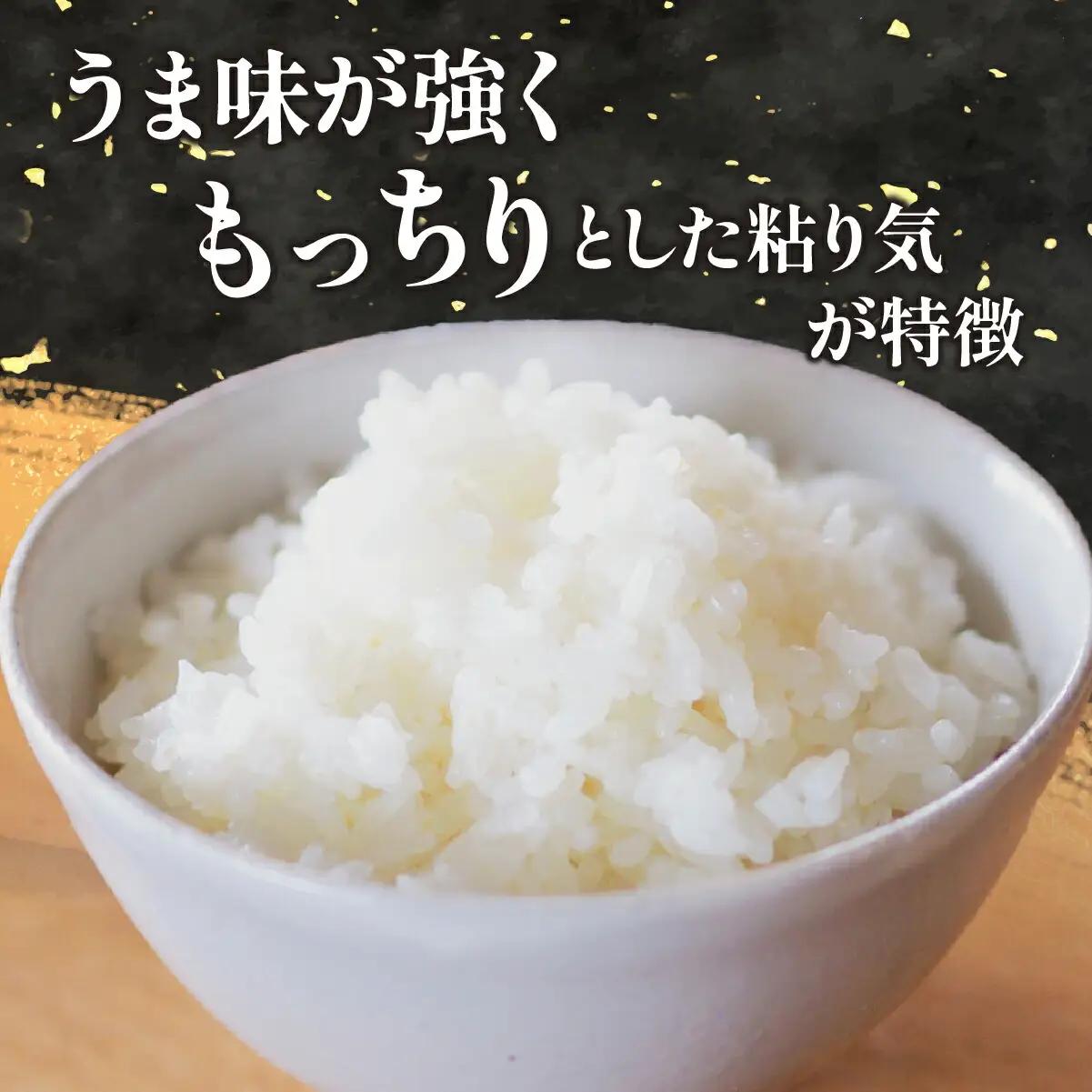 【特別栽培米】コシヒカリ　茨城県産　玄米　4.5kg【1670040】