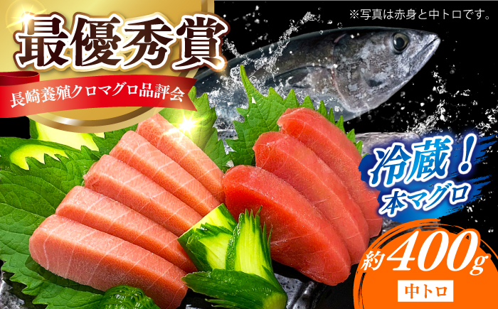 
            【長崎県養殖クロマグロ品評会最優秀賞！】 五島列島産 養殖 生 本マグロ 中トロ 計約400g マグロ まぐろ 鮪 刺身 ブロック 冷蔵 【上五島町漁業協同組合】 [RBN016]
          