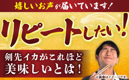 【冷凍】剣先イカ 刺身用 1kg　剣先烏賊 《壱岐市》 【一支國屋】海鮮 烏賊 イカ いか 刺身 刺し身 お刺身 剣先イカ 冷凍配送[JCC021]