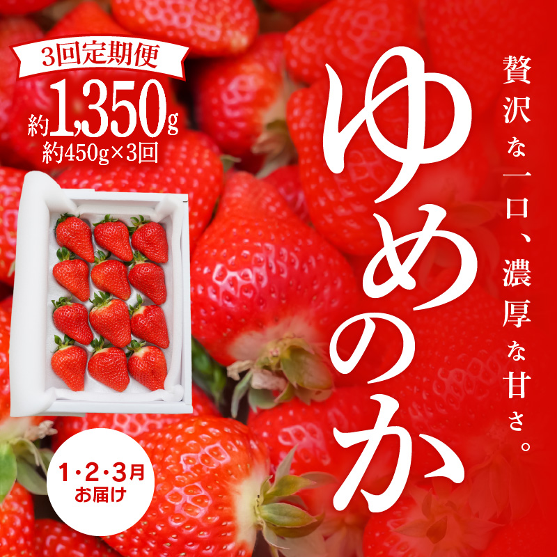 （予約受付中）【いちご定期便】（1月2月3月お届け）まるで赤いサファイア!!丹精込めた完熟いちご!! 約450g×3回　H130-013