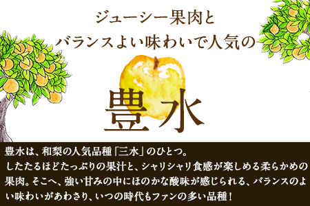 清田フルーツの豊水梨 約5kg(12-20玉前後)《8月中旬-8月末頃出荷》 熊本県玉名郡玉東町 ｜ブランド梨 人気梨 特産品梨 熊本県梨 玉東町梨 大人気返礼品