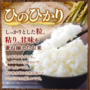 令和7年産 熊本県産 ひのひかり 無洗米 30kg 米 こめ