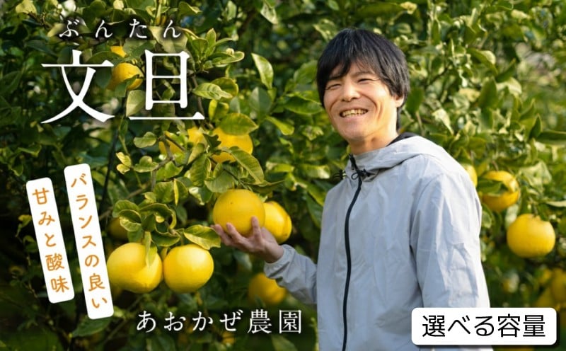 
                  土佐文旦 選べる 容量 5kg 10kg 家庭用 L~4L 大玉 文旦 ぶんたん みかん 訳あり 傷  柑橘  果物 フルーツ スイーツ 産地直送 デザート ゼリー わけあり 送料無料 高知 フルーツ スイーツ 蜜柑 お裾分け 分担 ジャム お菓子 あおかぜ農園 宿毛市 高知県
                