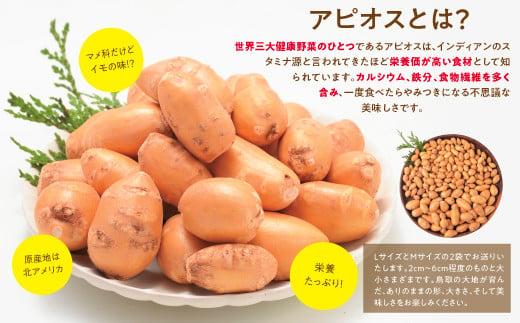 世界三大健康野菜 アピオス 1キロ